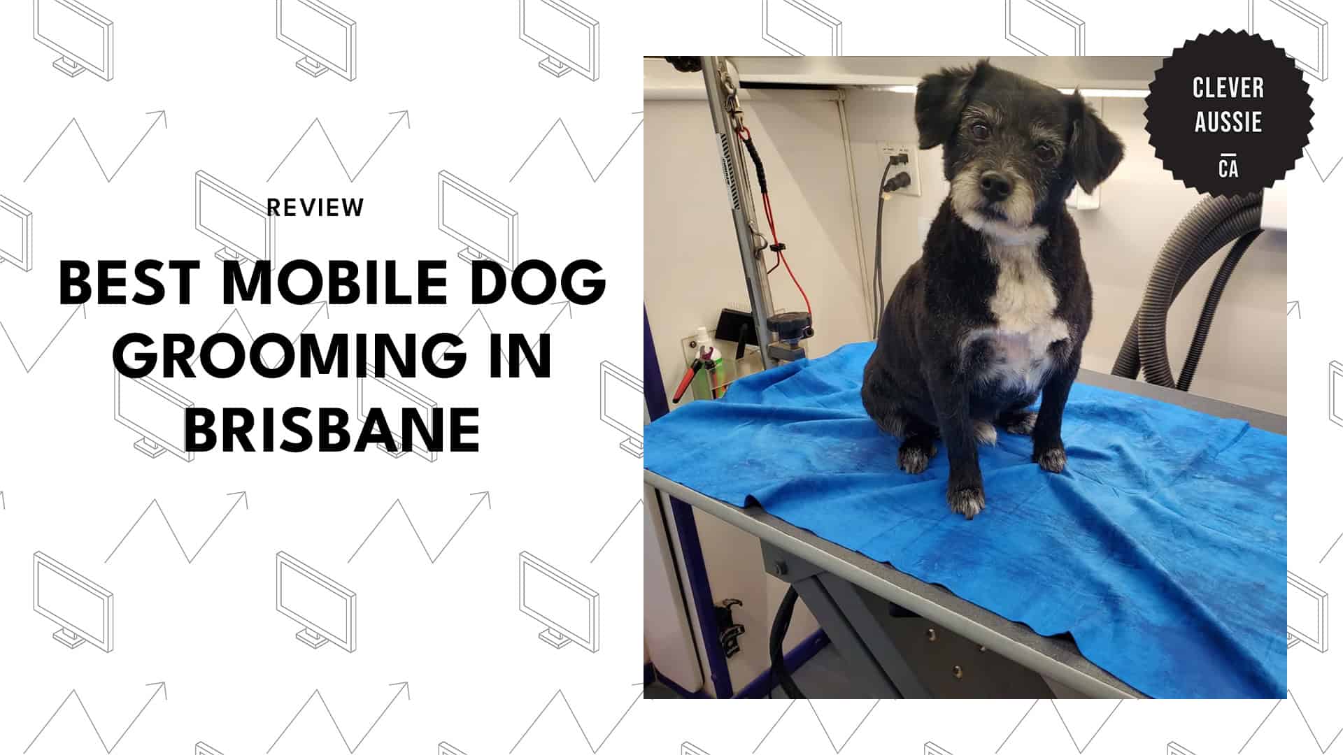 mobile-dog-grooming