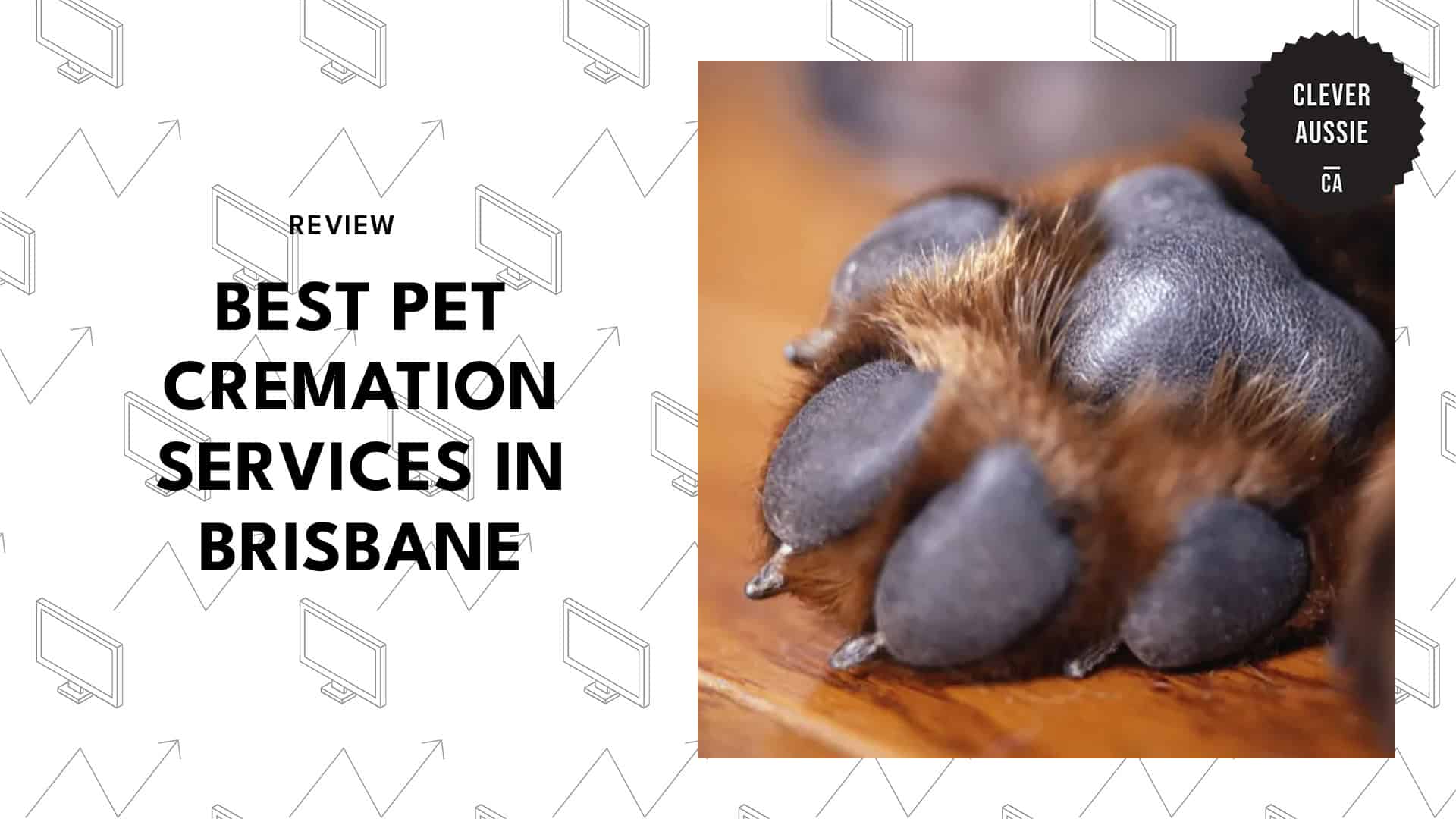 pet-paw