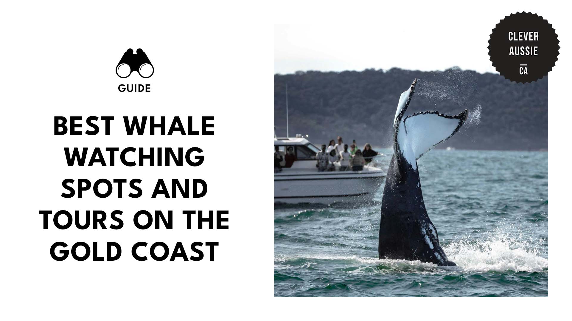 whale-watching