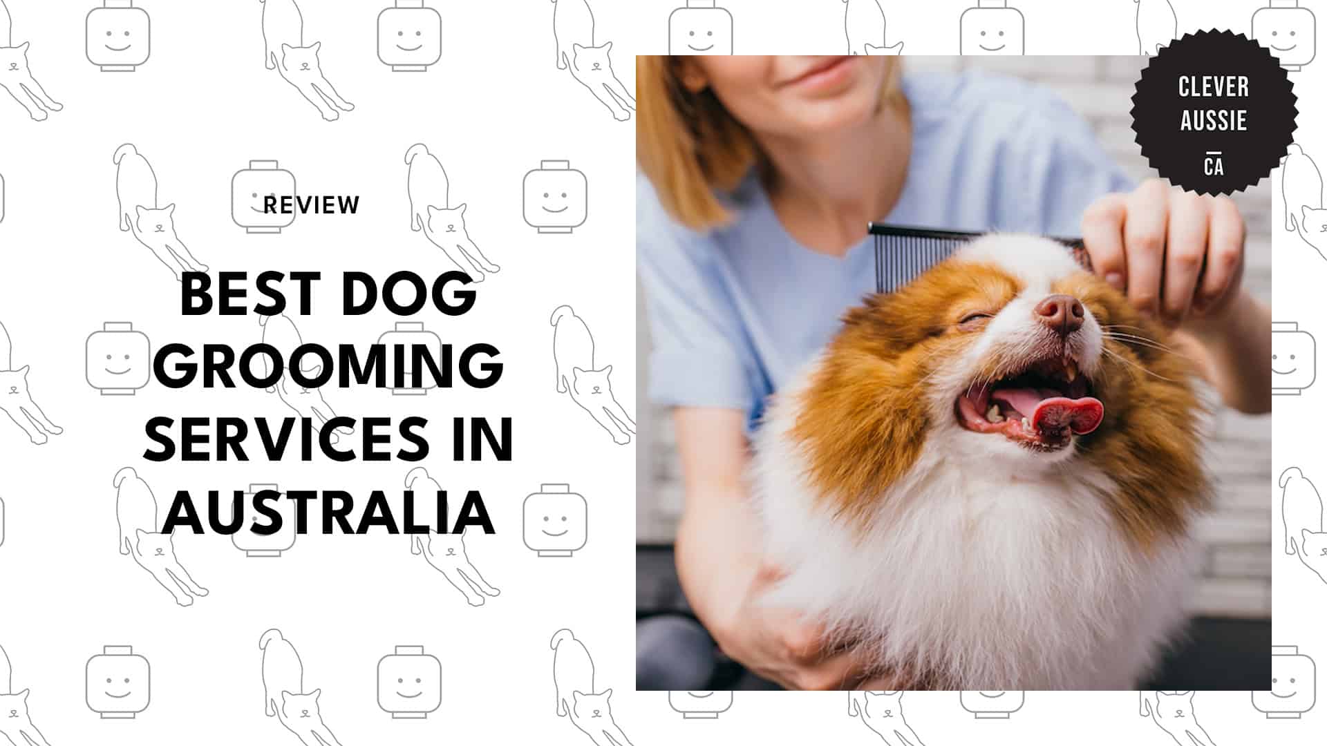 dog-grooming