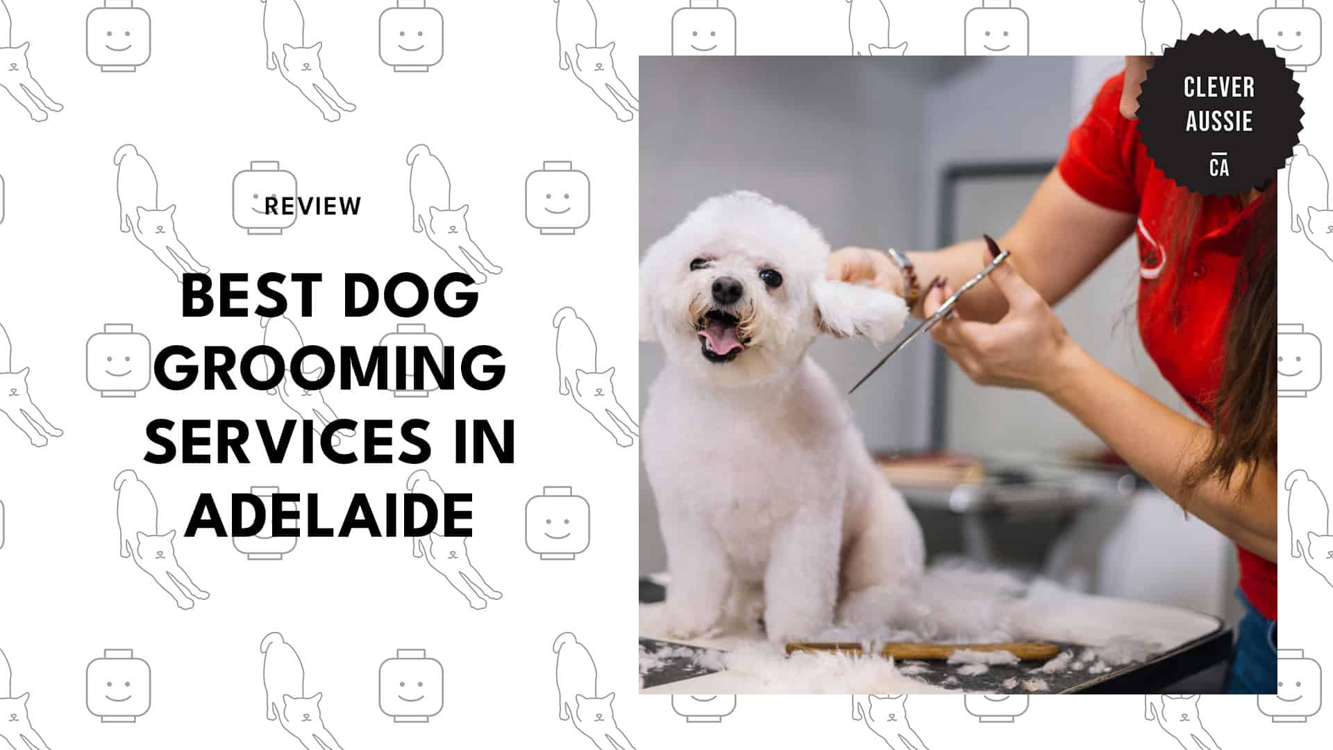 dog-grooming
