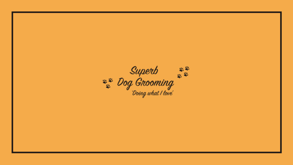 superb-dog-grooming