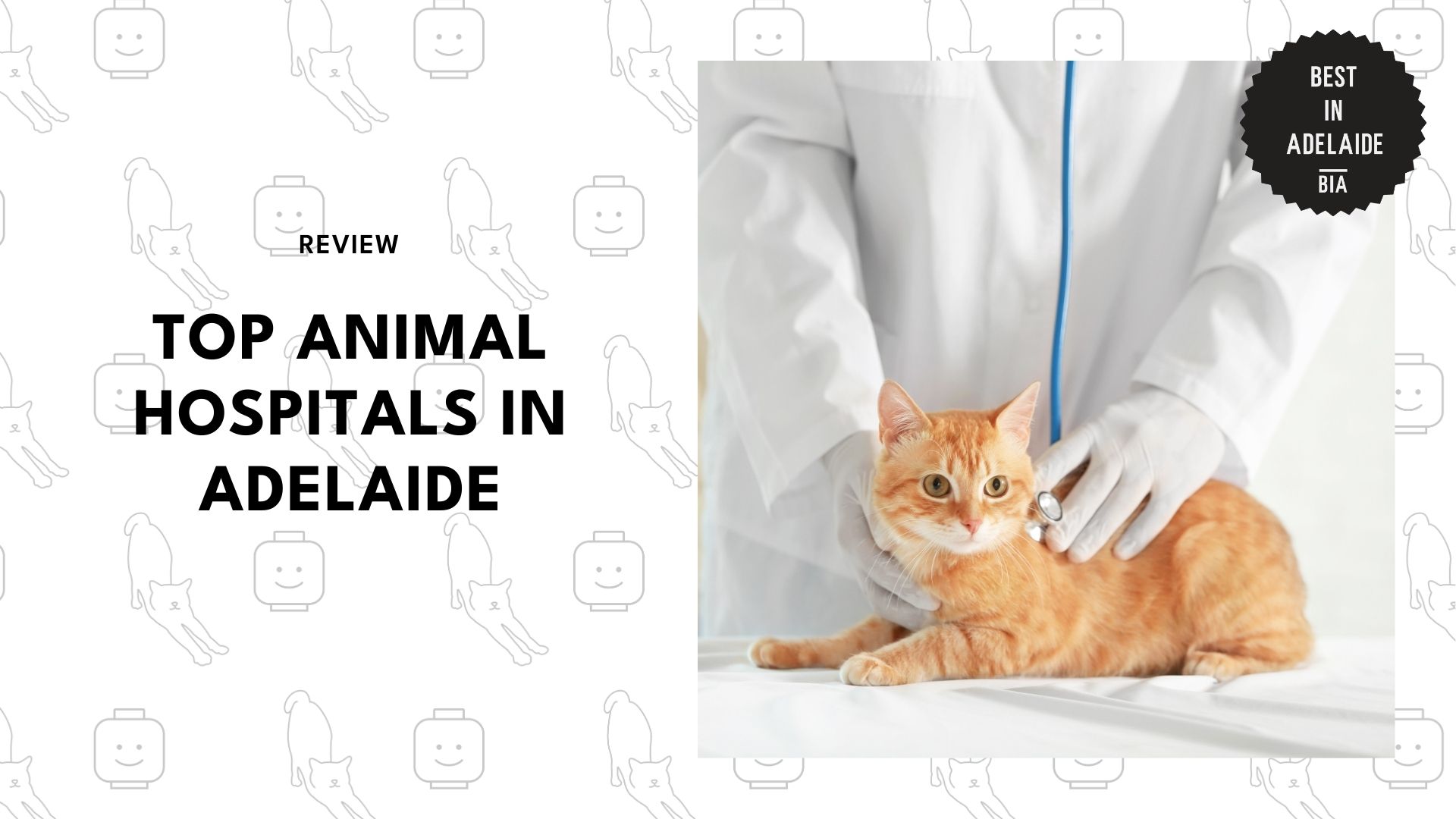 animal-hospital