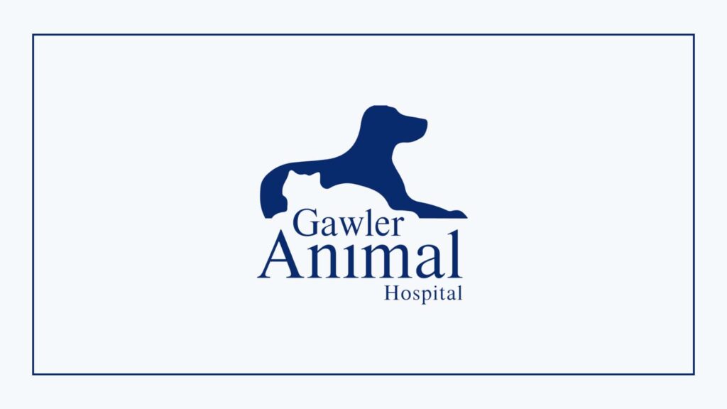 gawler-animal-hospital