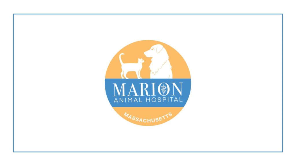 marion-animal-hospital