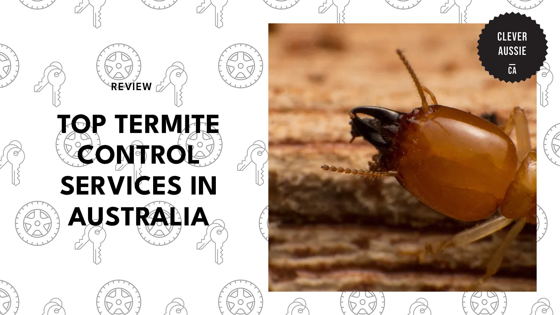 termite-control-australia-banner