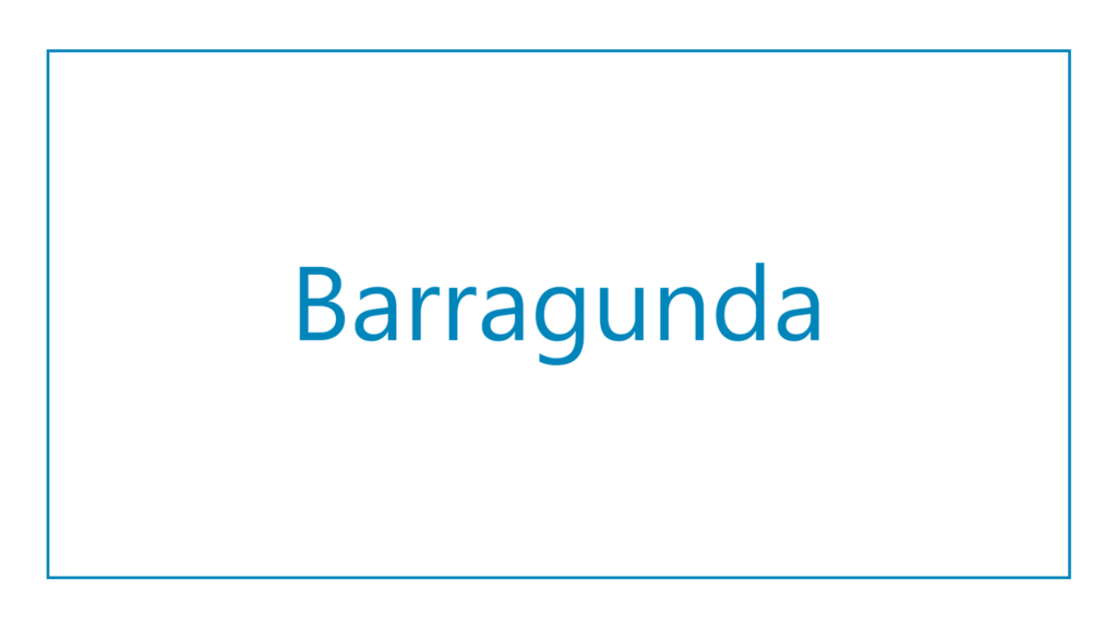 barragunda-logo