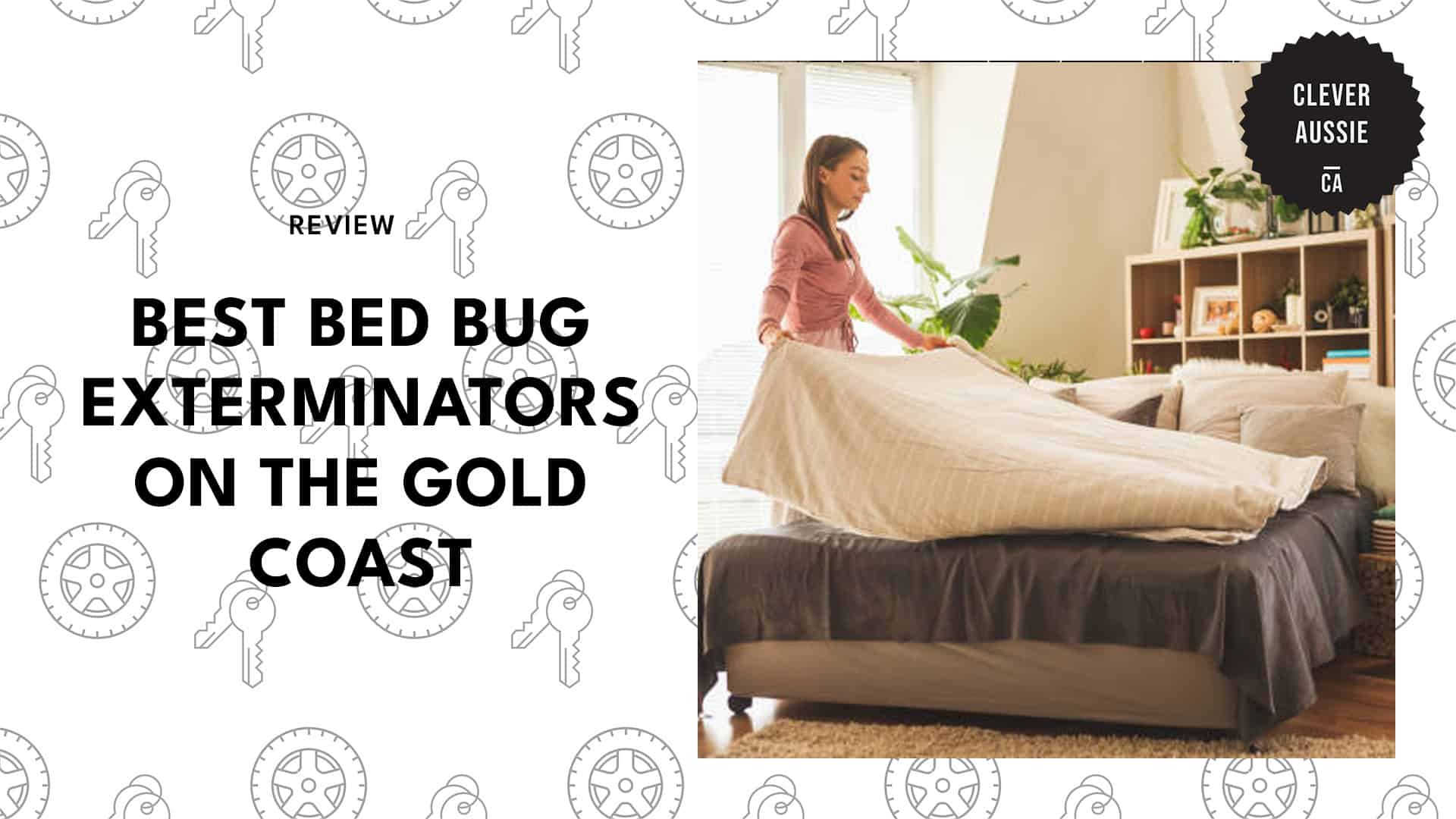 best-bed-bug-exterminators-gold-coast