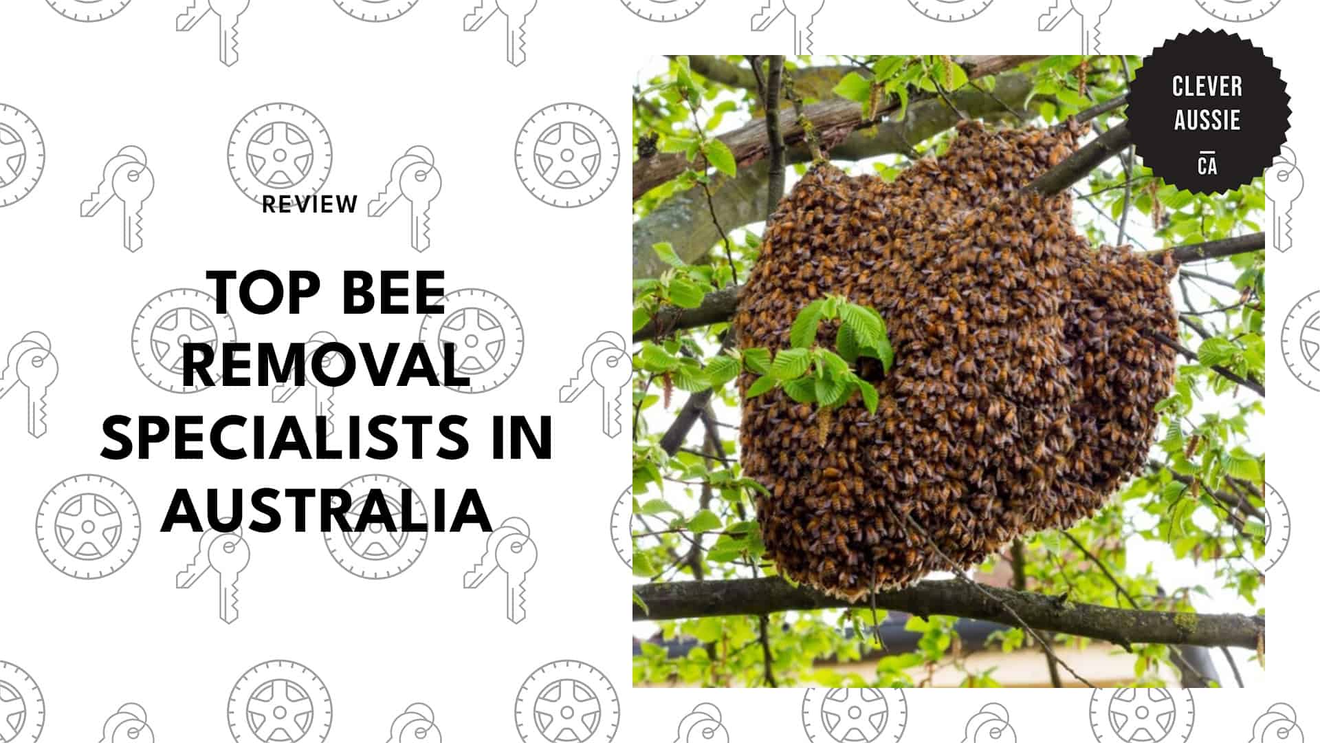 top-bee-removal-australia-banner