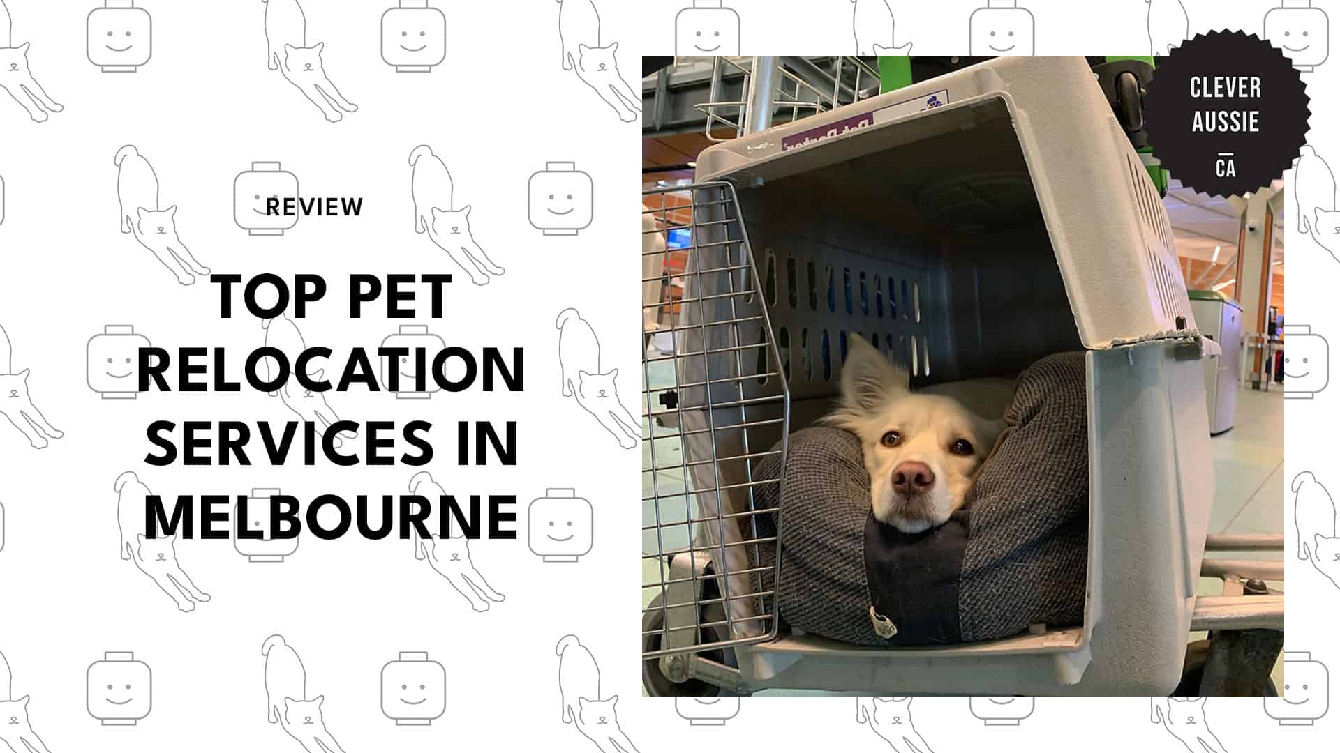 top-pet-relocation-melbourne-banner
