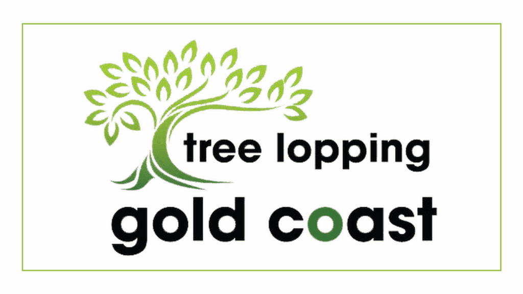 tree-lopping-gold-coast