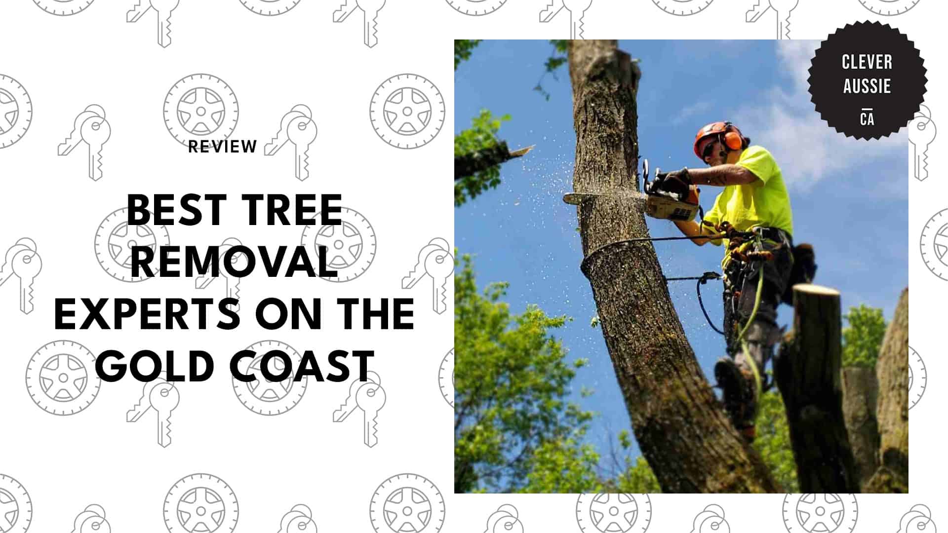 tree-removal-services-in-gold-coast
