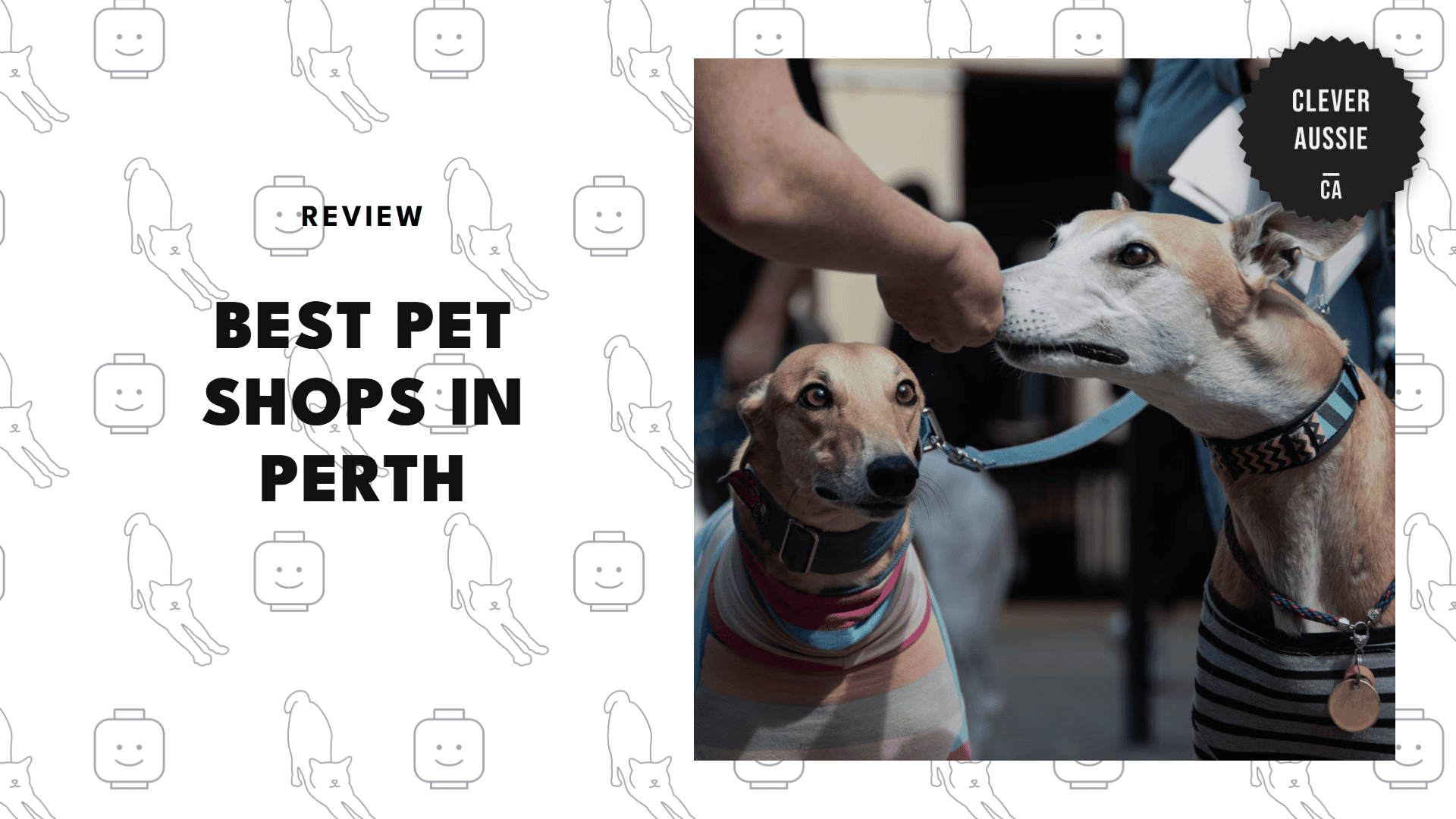 pet-shops-in-perth