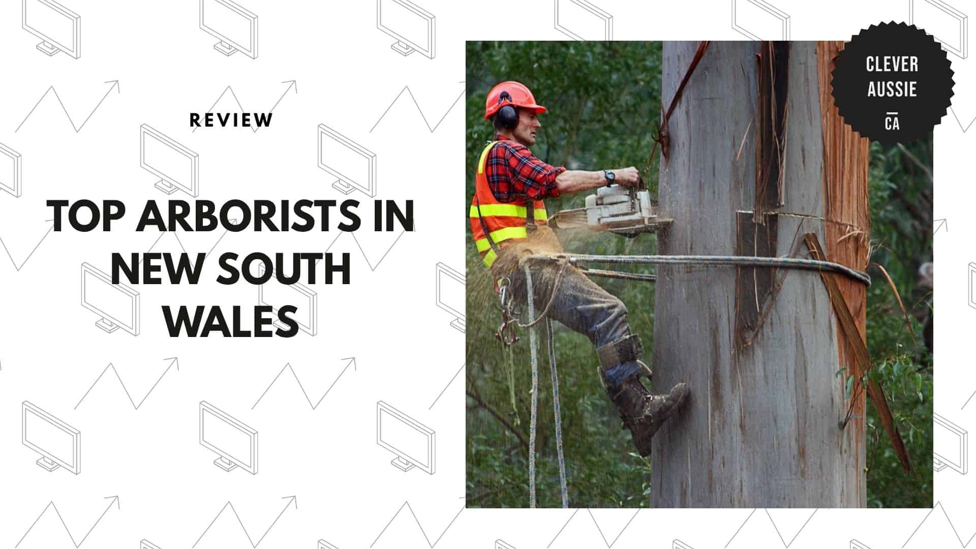 best-arborist-new-south-wales