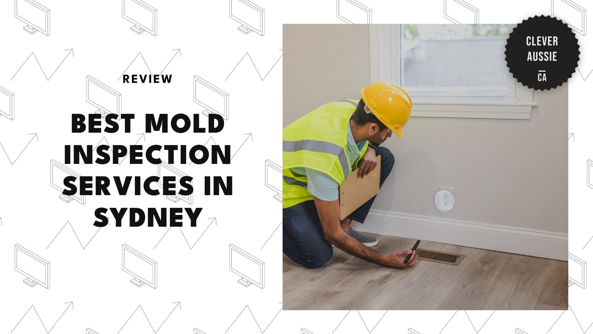 best-mold-inspection-sydney-banner