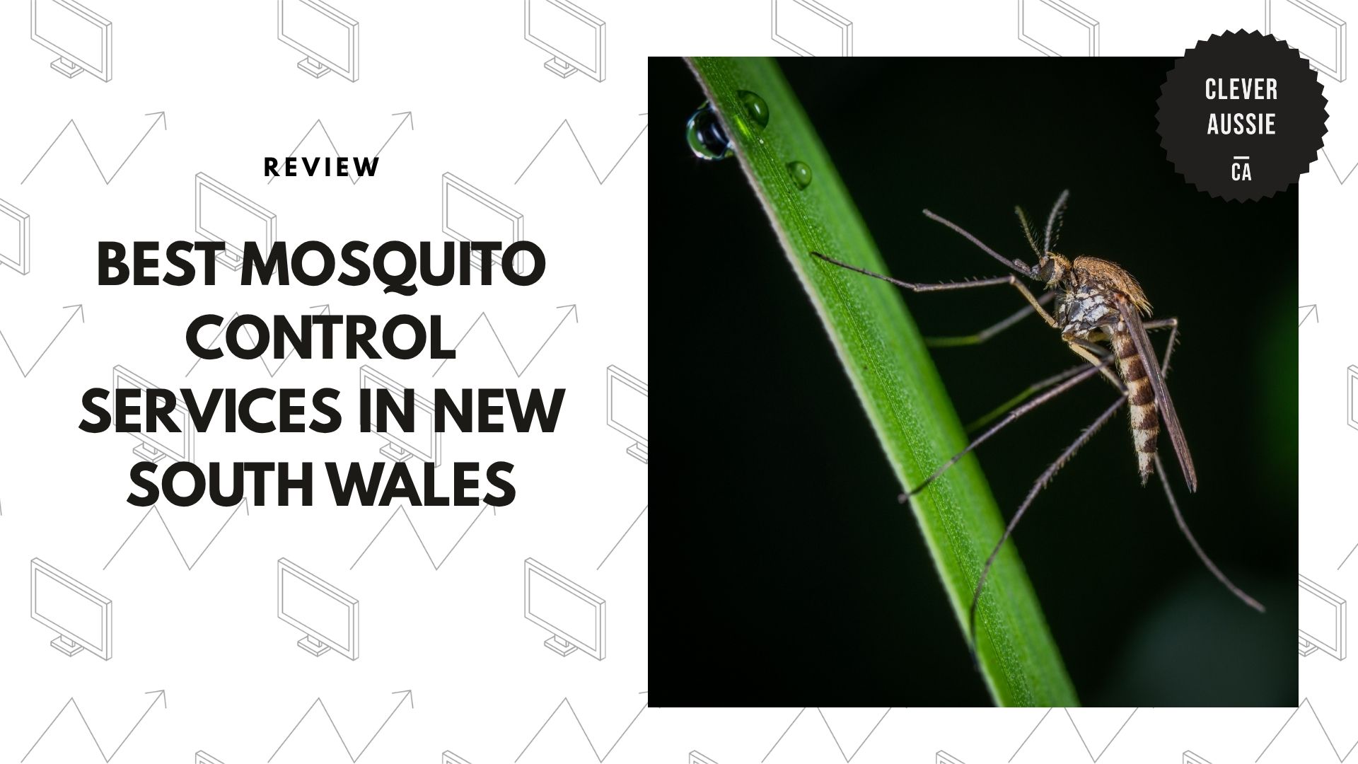 best-mosquito-control-new-south-wales-banner