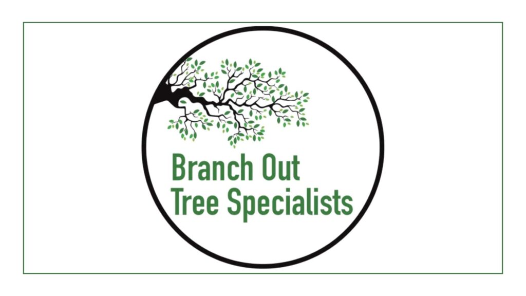 branch-out-tree-specialists