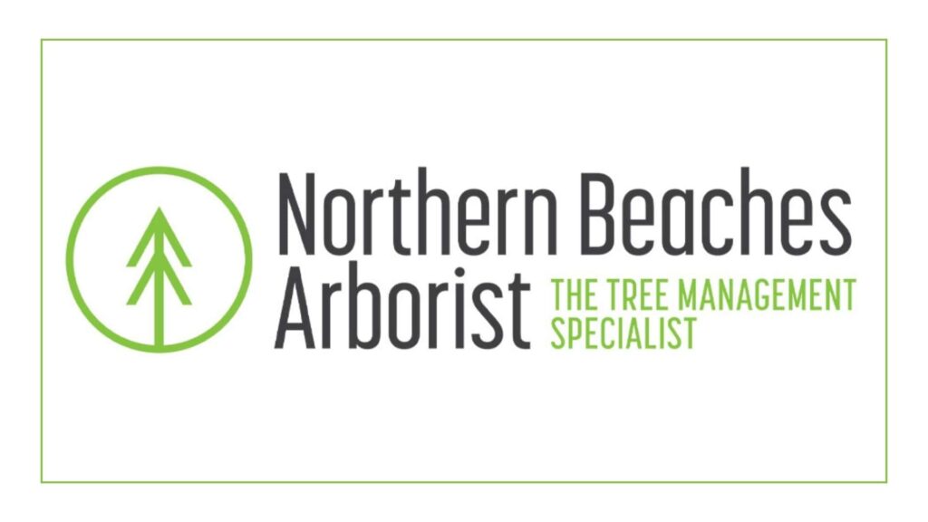 northern-beaches-arborist