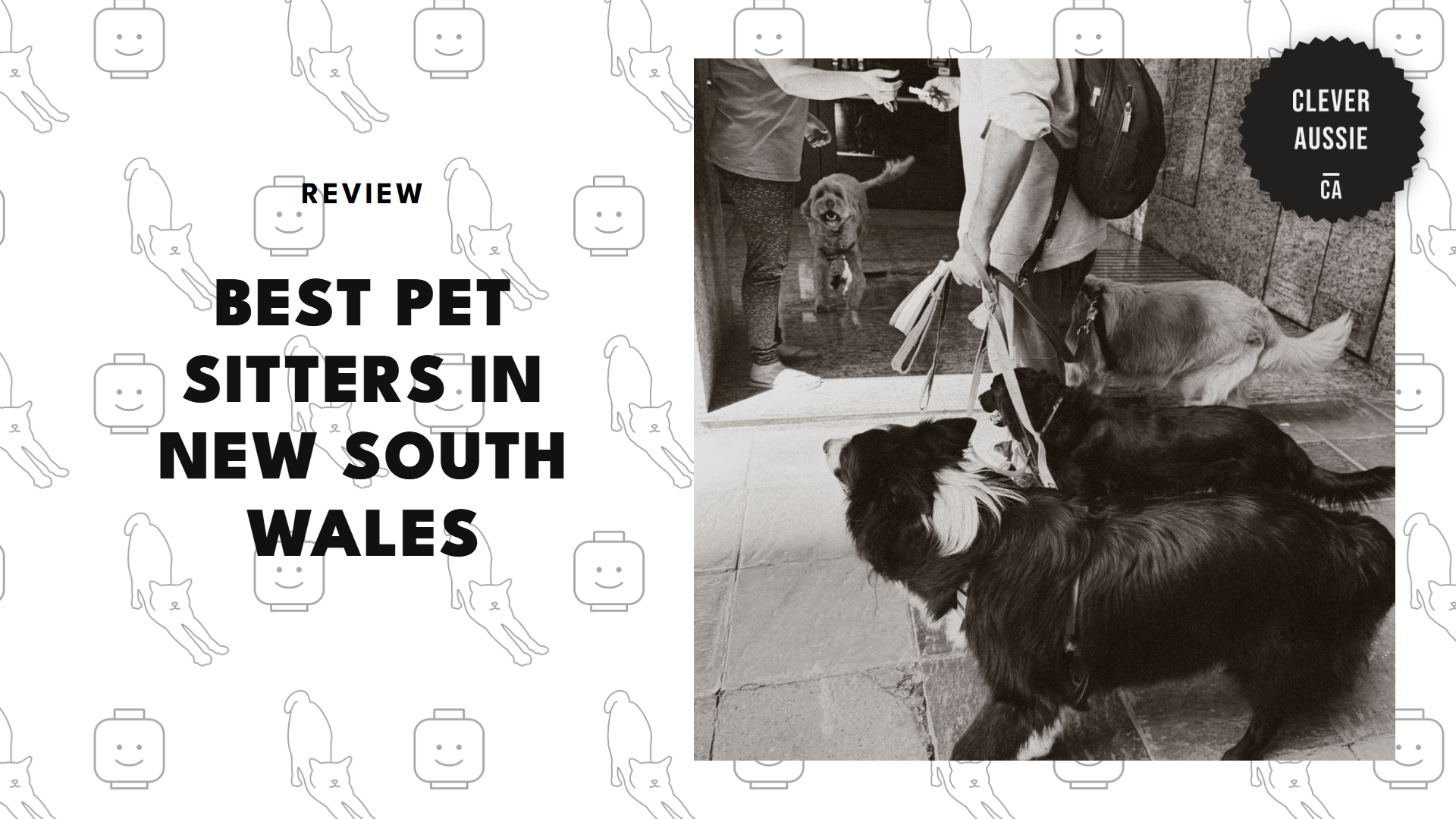 pet-sitters-in-new-south-wales