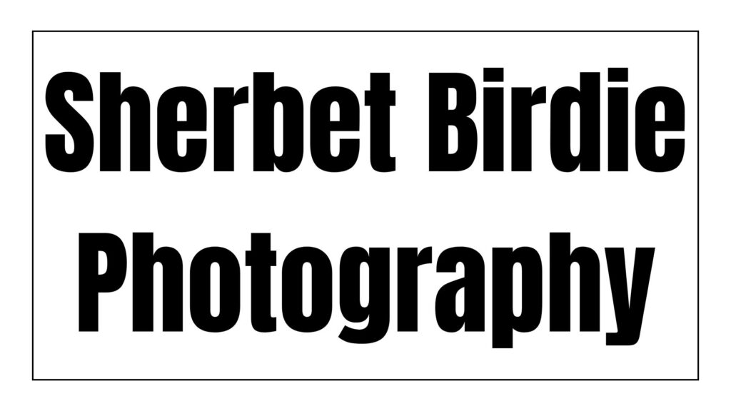 sherbet-birdie-photography-logo